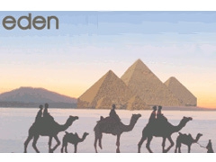 eden　ベリーダンス（エジプト・トライバル用品）<br />　　　　　エジプト雑貨直輸入販売店