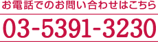 お電話でのお問い合わせはこちら　03-5391-3230