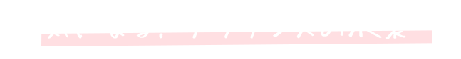気になる!フラダンスの衣装